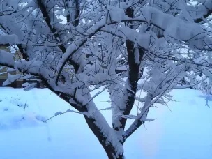 Готовимся к снегопаду
