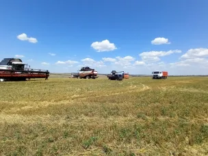 В хозяйствах Усть-Донецкого района завершилась уборка ранних зерновых и зернобобовых культур