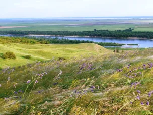 Усть-Донецкий район продолжает принимать туристов