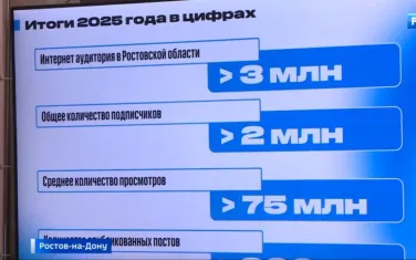 Ростовская область входит в пятерку регионов-лидеров по количеству госпабликов