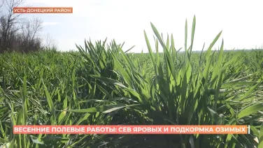Весенние полевые работы идут полным ходом