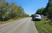 Только выполняя все установленные требования мы сможем не допустить полного уничтожения поголовья свиней на территории района.