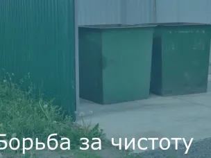 Борьба за чистоту