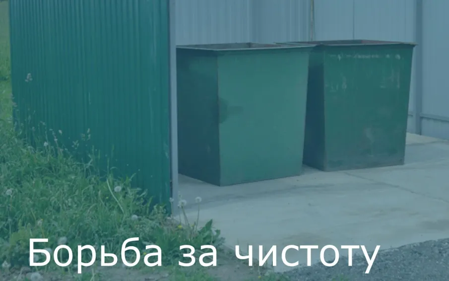 Борьба за чистоту