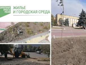 Озеленение – как один из этапов благоустройства