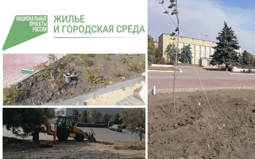 Озеленение – как один из этапов благоустройства