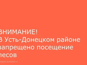 Режим ограничения пребывания в лесах
