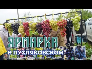 Ярмарка в Пухляковском