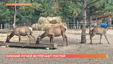 Первый Ростовский посетил Нижнекундрюченский питомник
