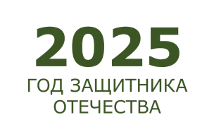 ГодЗащитникаОтечества'