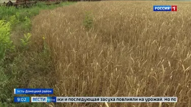О подготовке аграриев Усть-Донецкого района к предстоящей уборке, в репортаже ДонТр