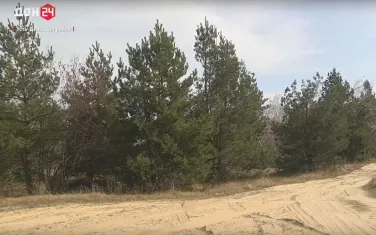 Восстановить и сохранить лес