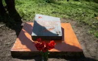 Голосование за благоустройство памятного места погибшим воинам ВОВ