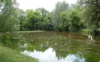 Река Северский Донец