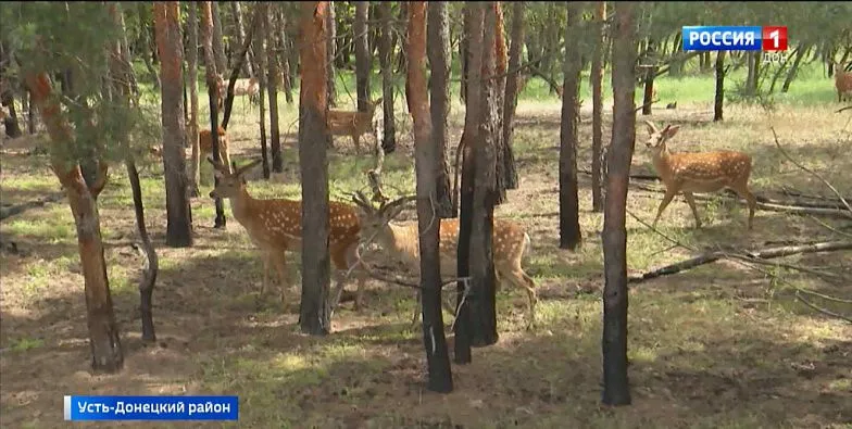 В Усть-Донецком районе развивают экотуризм