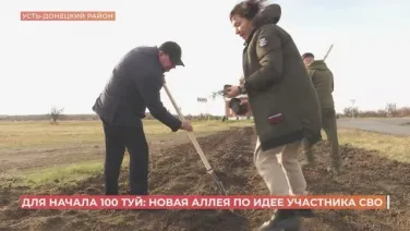 В Усть-Донецком районе высадили Аллею славы