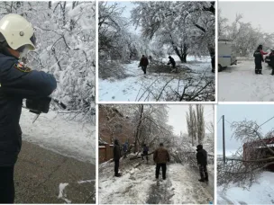 ЭКСТРЕННОЕ ЗАСЕДАНИЕ КОМИССИИ ПО ЧРЕЗВЫЧАЙНЫМ СИТУАЦИЯМ