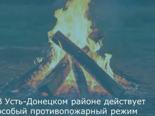 В Усть-Донецком районе действует особый противопожарный режим