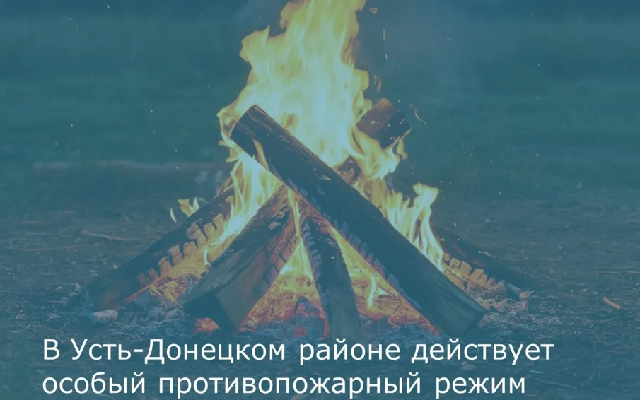 В Усть-Донецком районе действует особый противопожарный режим