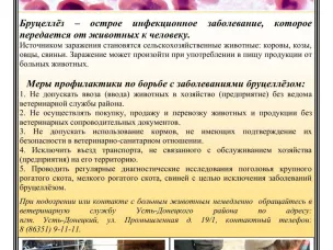 Меры профилактики по борьбе с заболеваниями бруцеллёзом