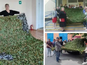 Спасти жизнь маскировкой