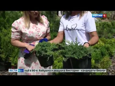 Соцконтракт на развитие бизнеса