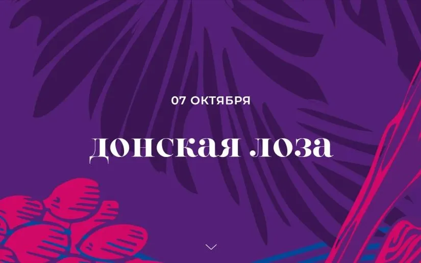 Началась подготовка к «Донской лозе»