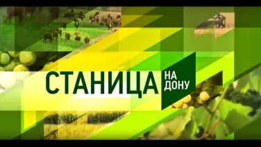История фермерского хозяйства Усть-Донецкого района