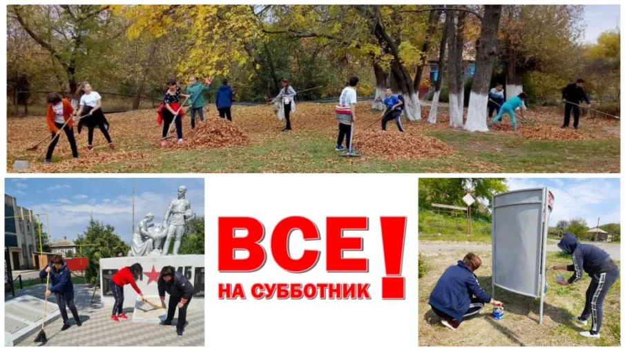 Областной субботник