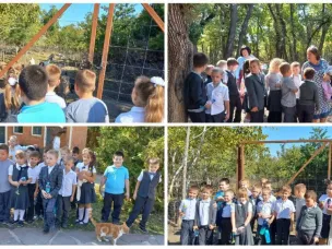 В мире животных
