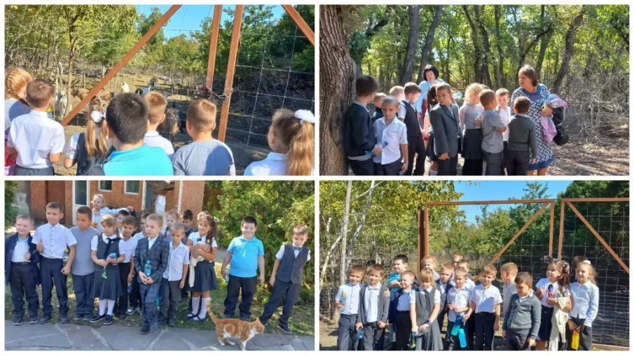 В мире животных