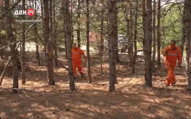 Лесные спасатели