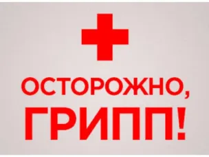 В Ростовской области ввели карантин по гриппу