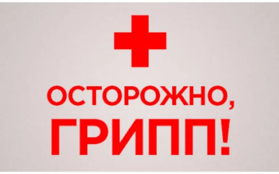 В Ростовской области ввели карантин по гриппу